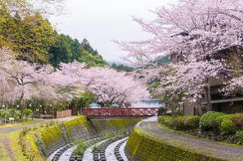 فندق جوتيمبافي  Nagaizumi Sansou المظهر الخارجي الصورة